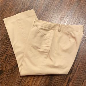 Express Editor Capris